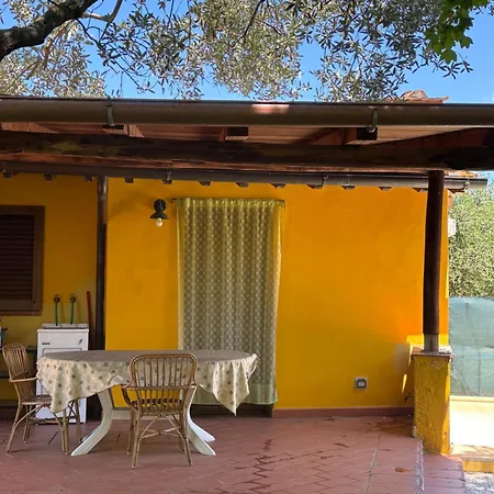 Casa Mimosa *